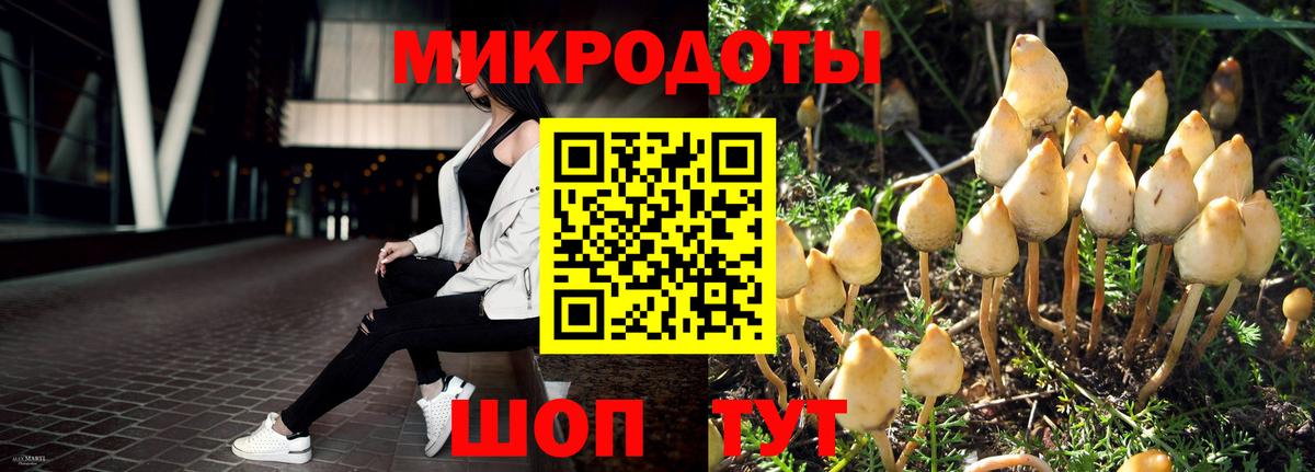 Выборг  Галлюциногенные грибы Magic Shrooms  Вход с VPN  закладка  Псилоцибиновые грибы Psilocybe 